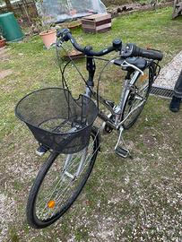 Atala Discovery donna