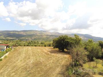 Terreno di 6000 m² a Ausonia
