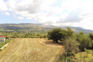 Terreno di 6000 m² a Ausonia