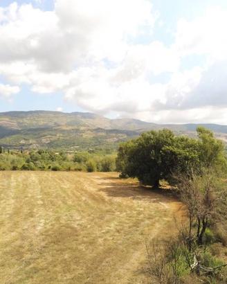 Terreno di 6000 m² a Ausonia