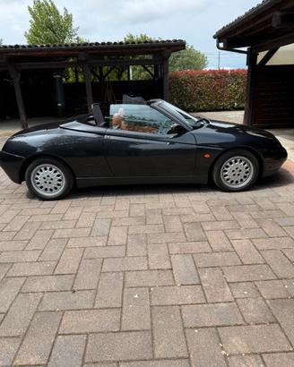 Alfa Romeo Spider mod. 916 3.0 V6 12v