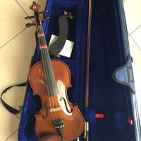 Violino