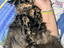 Immagine 6
