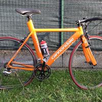 Bici da corsa. cannondale
