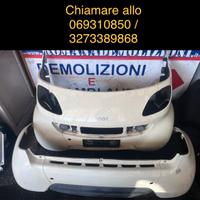 Plastiche anteriori e posteriori per Smart 450
