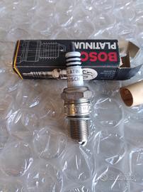 1X CANDELA ACCENSIONE BOSCH PLATINUM WR7DP VARIE A