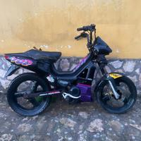 Fifty top Malaguti 1994