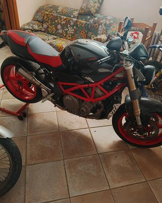 brutale 910s