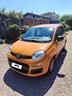 fiat-panda-1-2-easy-unico-proprietario