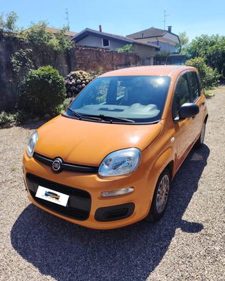 Fiat Panda 1.2 Easy UNICO PROPRIETARIO