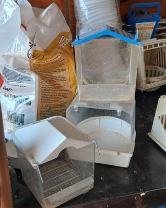 Bagnetto per canarini