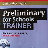 Preliminary for schools trainer