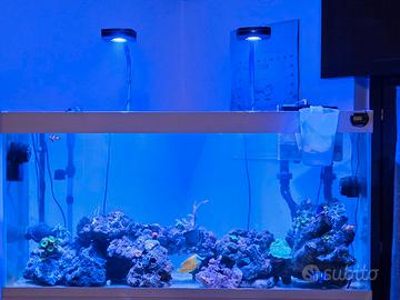 acquario juwel 240 lt  