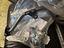 Immagine 3