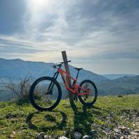 Santa Cruz bronson r