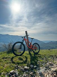 Santa Cruz bronson r