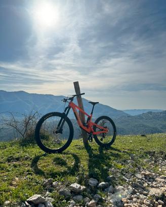 Santa Cruz bronson r