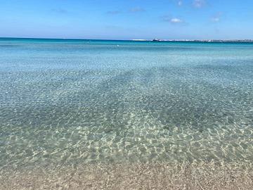 Villetta primula 7 osti a baia verde