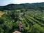 Immagine 14