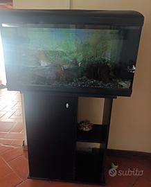 acquario marino