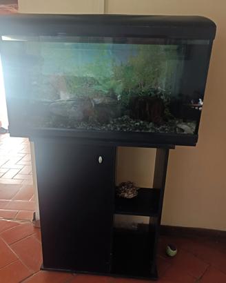 acquario marino