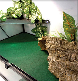 ACCESSORI PER TERRARI