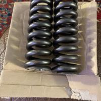 Molle Ammortizzatori  anteriori Fiat AR
