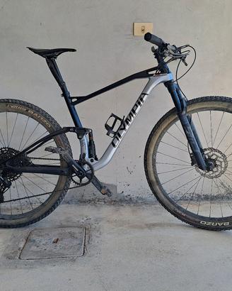 Mtb 29 full in carbonio 