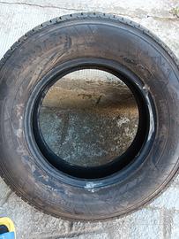 Pirelli carrier