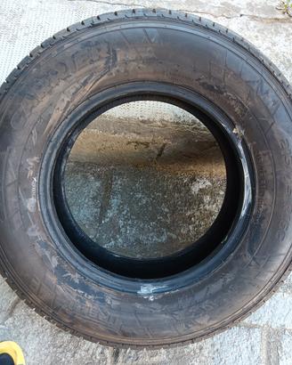 Pirelli carrier