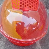 Tartarughiera plastica come nuova