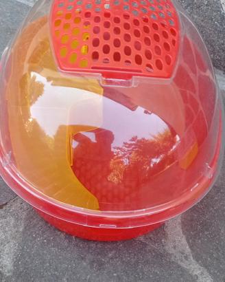 Tartarughiera plastica come nuova