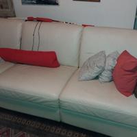 divano in pelle Doimo