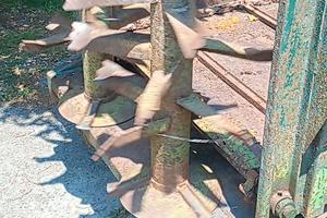 spargi letame per in utilizzo 