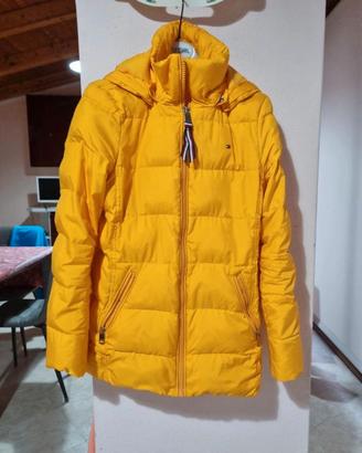 Piumino Tommy 