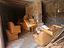 Immagine 29