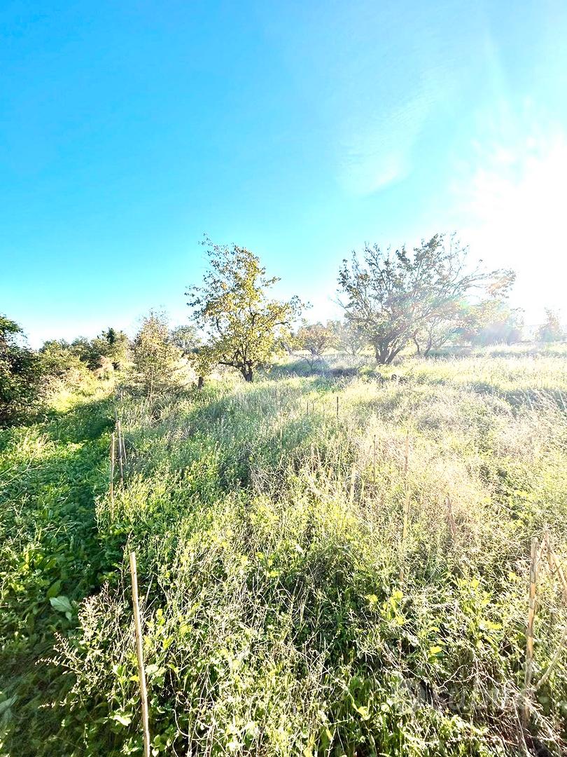 Terreno Agricolo a pochi passi dai Caselli - Vista 4