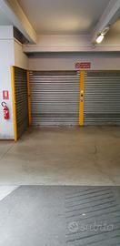 Garage o box auto Torino in Via Arvier