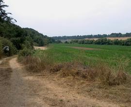 Terreno agricolo località Testa di Lepre