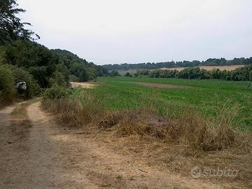 Terreno agricolo località Testa di Lepre