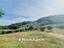 Immagine 16