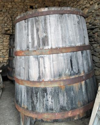 Tino in legno