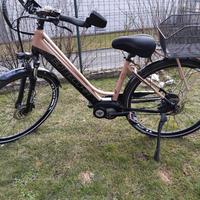 Bicicletta elettrica