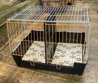 Trasportino cani per auto