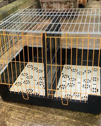 Trasportino cani per auto