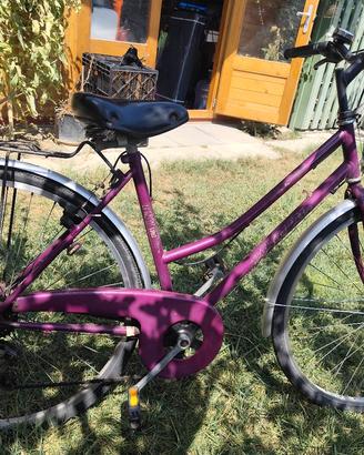 Bicicletta city bike donna