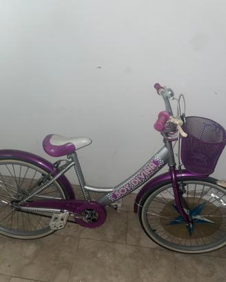 Bicicletta