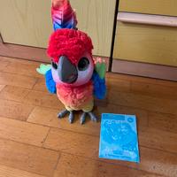 Martino Paopagallo Canterino FurReal