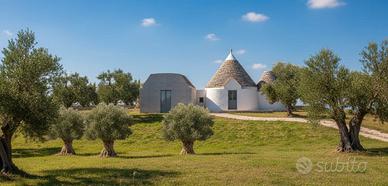 Trulli rustici con progetto ampliamento ritirato