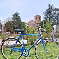 Bicicletta da uomo 